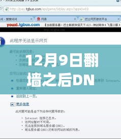 DNS困境下的魔法日，学习变化与超越困境之旅