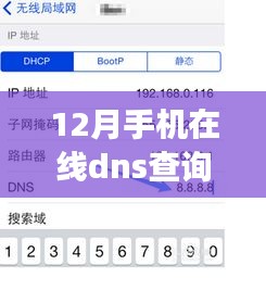 超越云端，12月手机在线DNS查询开启智慧之旅，拥抱变化的力量