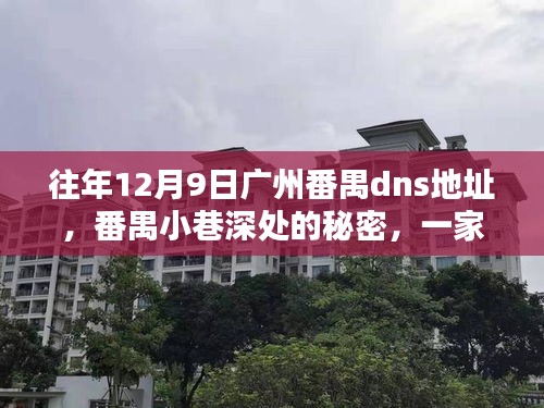 揭秘广州番禺小巷深处的秘密，藏于DNS之下的特色小店往年12月9日独家盘点