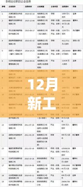 深度解析，12月新工商最新动态及其背景与重要事件回顾