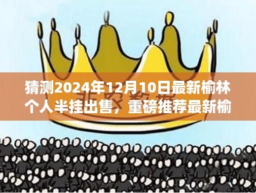 独家解析，榆林个人半挂出售大猜想，深度解读至2024年12月10日最新动态