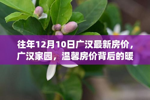 广汉家园温馨房价背后的暖心故事，最新房价回顾与深度解读