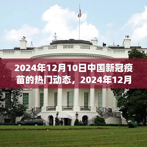 中国新冠疫苗最新进展与创新，全民接种的新篇章（2024年12月10日）