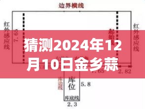 预见未来，金乡蒜苔最新出库价格分析与展望，自信闪耀的学习之旅