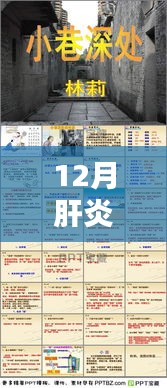 2024年12月11日 第17页