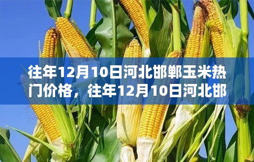 河北邯郸玉米热门价格深度解析及历年趋势分析