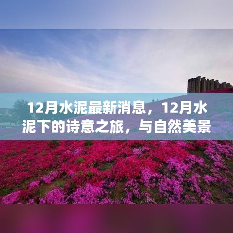 12月水泥动态，诗意之旅与自然的紧密连结