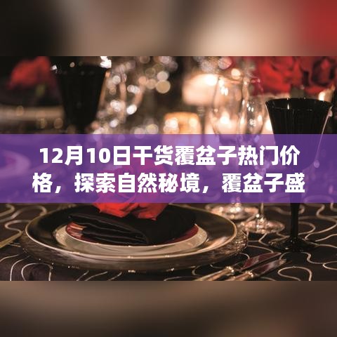 覆盆子盛宴，探索自然秘境与热门价格揭秘，宁静之旅启程于12月10日