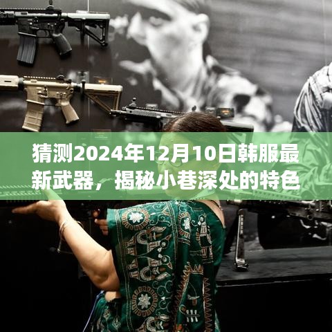 未来武器揭秘，韩服最新武器预测之旅，小巷深处的特色小店探秘之旅