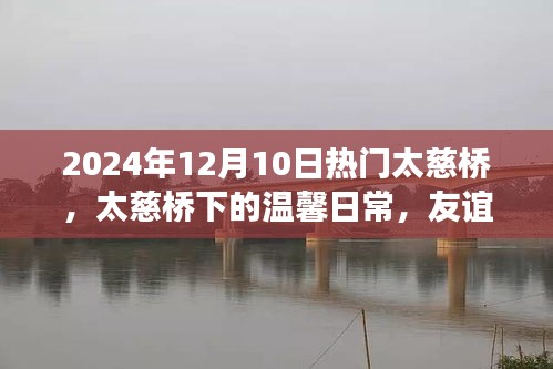 太慈桥下的温馨时光，友谊的见证与家的温暖（2024年12月10日）