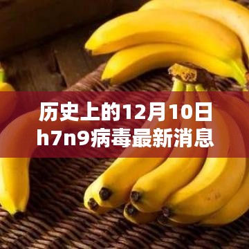 历史上的12月10日H7N9病毒最新动态及其多方观点碰撞