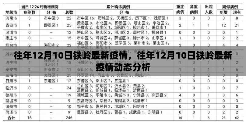 往年12月10日铁岭最新疫情动态报告及深度分析