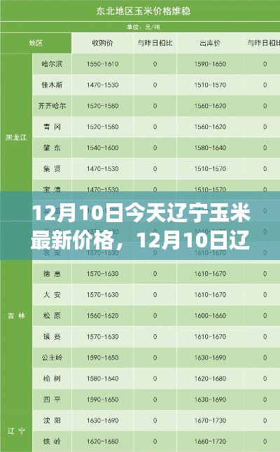 辽宁玉米最新价格动态及市场分析（12月10日）