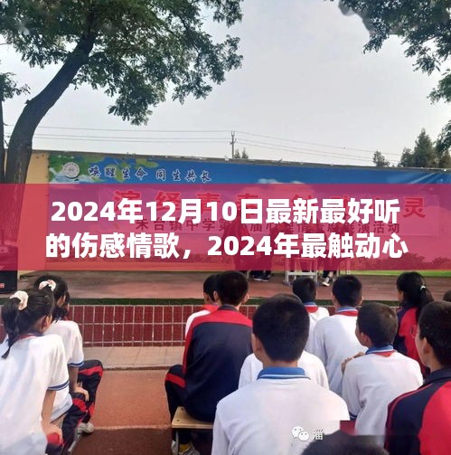 2024年最触动心弦的伤感情歌，爱与痛的旋律