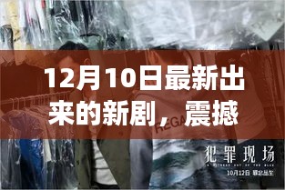 12月新剧震撼登场，引领科技狂潮，开启全新智能生活体验