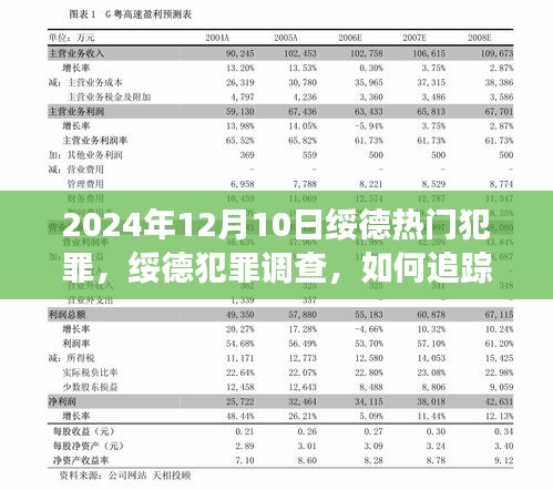 绥德热门犯罪事件全面解析，从追踪到应对的全面指南（适用于初学者与进阶用户）