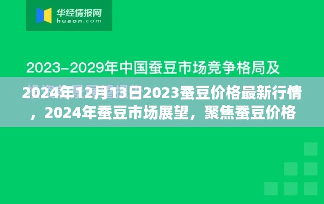 2024年蚕豆价格最新行情与市场展望，聚焦蚕豆市场发展趋势