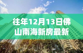 往年12月13日佛山南海新房价格解析，市场趋势与个人观点洞察