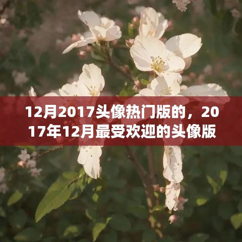 2017年12月最火头像版本，你跟上潮流了吗？