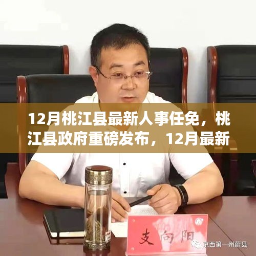 桃江县最新人事任免揭晓，县域发展新篇章开启！