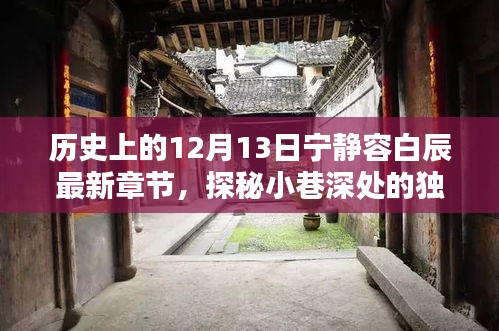 探秘宁静容白辰隐藏版特色小店，历史深处的独特风味——最新章节12月13日探秘小巷深处的小店故事