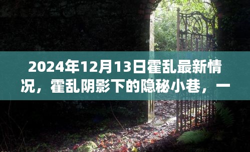 霍乱阴影下的隐秘小巷，一家特色小店的奇妙故事与霍乱最新情况揭秘（2024年12月13日）