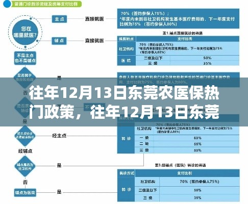 往年12月13日东莞农医保政策热点解析与探讨