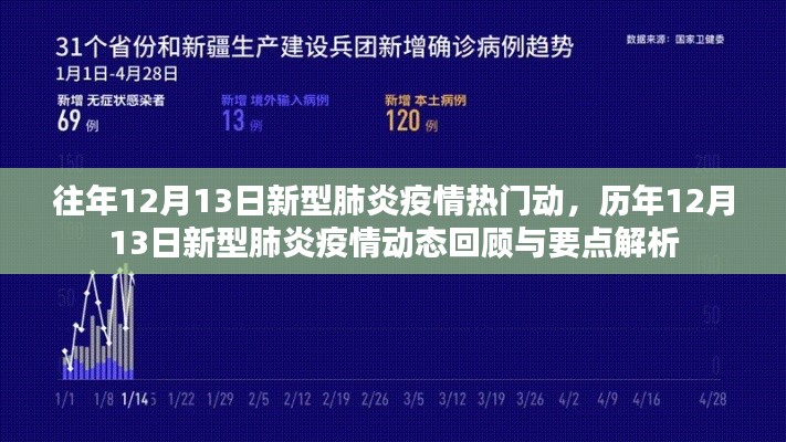 历年12月13日新型肺炎疫情动态回顾与解析，回顾要点，洞悉趋势