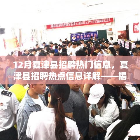 揭秘夏津县招聘热点信息，十二月就业市场热门职位与求职攻略速递