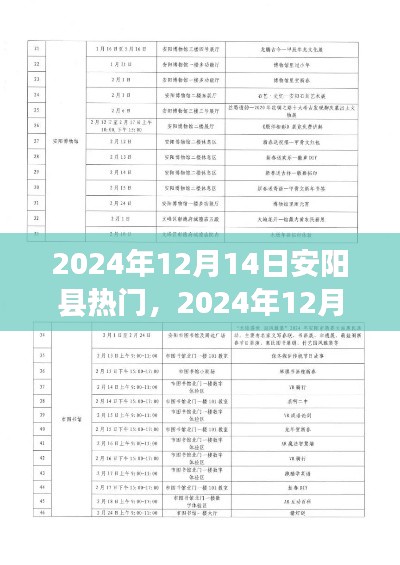 2024年12月14日安阳县热门活动参与全攻略，从入门到精通