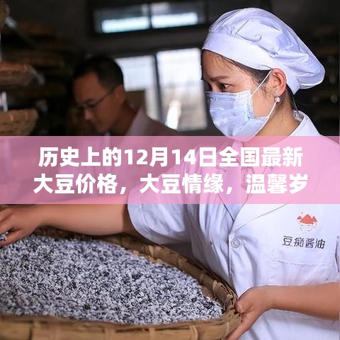 大豆情缘，历史上的价格记忆与温馨岁月里的价格变迁——全国最新大豆价格回顾