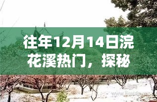 2024年12月14日