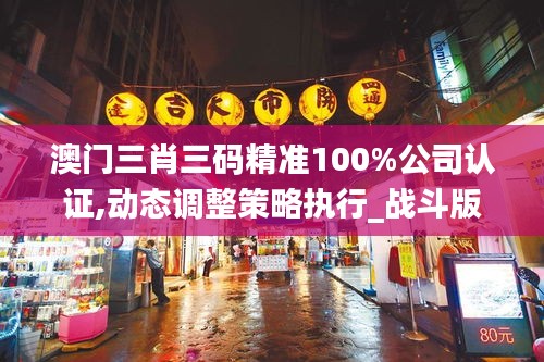 澳门三肖三码精准100%公司认证,动态调整策略执行_战斗版6.343