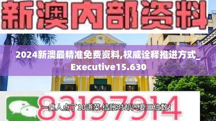 2024新澳最精准免费资料,权威诠释推进方式_Executive15.630