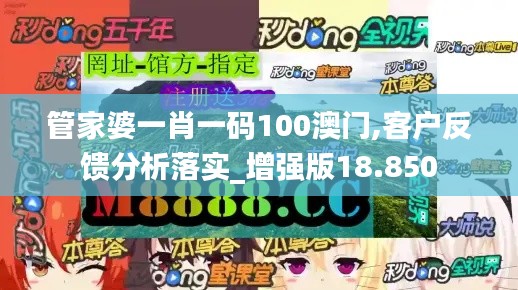 管家婆一肖一码100澳门,客户反馈分析落实_增强版18.850