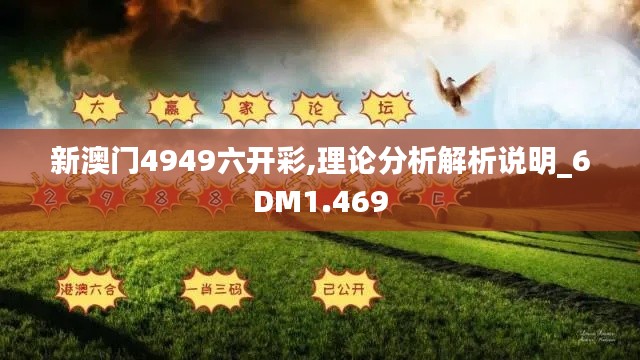 新澳门4949六开彩,理论分析解析说明_6DM1.469