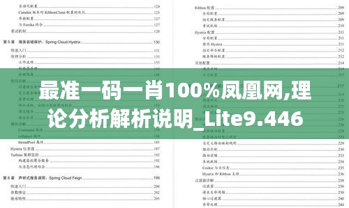 最准一码一肖100%凤凰网,理论分析解析说明_Lite9.446