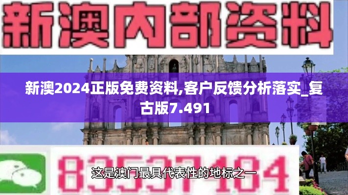 新澳2024正版免费资料,客户反馈分析落实_复古版7.491