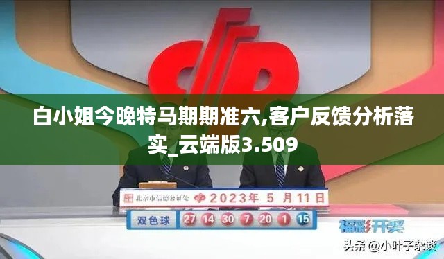 白小姐今晚特马期期准六,客户反馈分析落实_云端版3.509