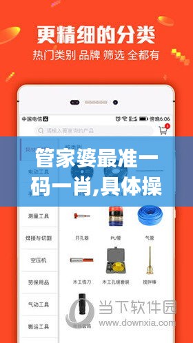 管家婆最准一码一肖,具体操作步骤指导_iPad9.167