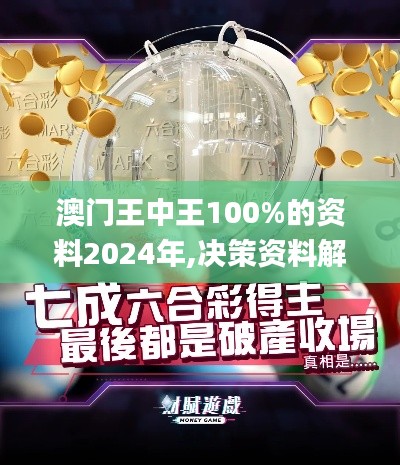 澳门王中王100%的资料2024年,决策资料解释落实_WP10.947