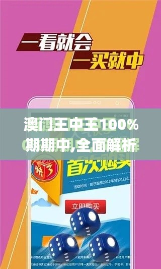 澳门王中王100%期期中,全面解析与深度体验_进阶版6.693