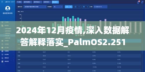 2024年12月疫情,深入数据解答解释落实_PalmOS2.251