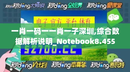 一肖一码一一肖一子深圳,综合数据解析说明_Notebook8.455