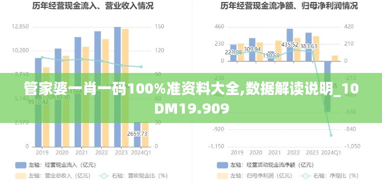 管家婆一肖一码100%准资料大全,数据解读说明_10DM19.909