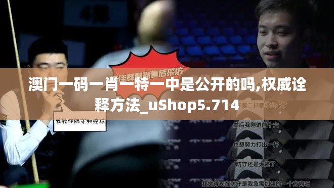 澳门一码一肖一特一中是公开的吗,权威诠释方法_uShop5.714