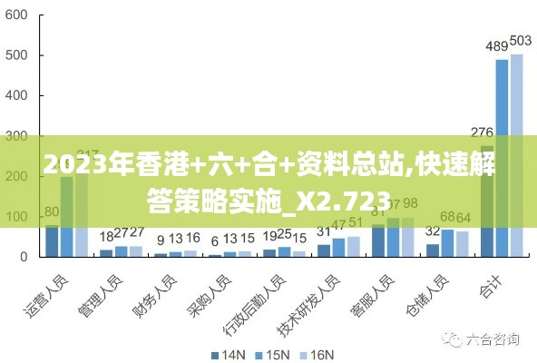 2023年香港+六+合+资料总站,快速解答策略实施_X2.723