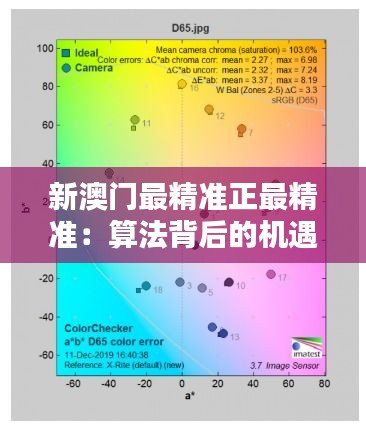 新澳门最精准正最精准：算法背后的机遇与挑战