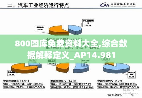 800图库免费资料大全,综合数据解释定义_AP14.981