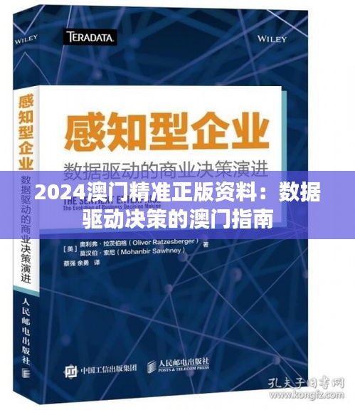 2024澳门精准正版资料：数据驱动决策的澳门指南